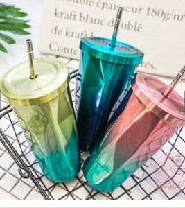 Double Wall Steel Tumbler